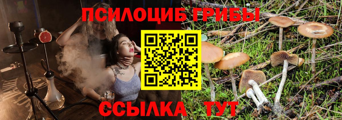 Кингисепп  Галлюциногенные грибы ЛСД  Вход с VPN 