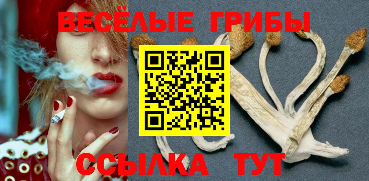 Галлюциногенные грибы мухоморы Кингисепп